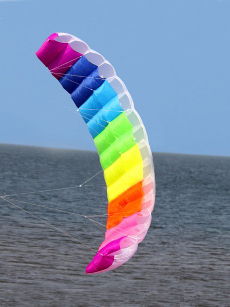 Professional 1.4/2/2.7m Dual L - Kite Surf Bar Control のレビューと価格