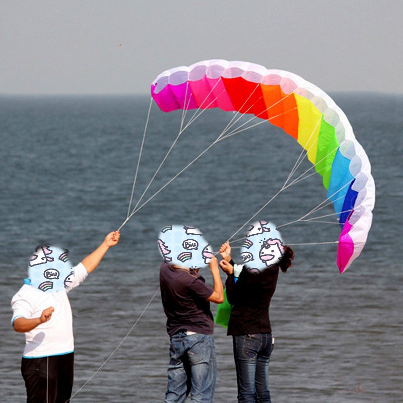 Professional 1.4/2/2.7m Dual L - Kite Surf Bar Control のレビューと価格